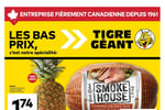 Circulaire Tigre Géant