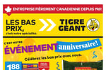 Circulaire Tigre Géant