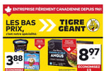 Circulaire Tigre Géant