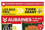 Circulaire Tigre Géant
