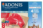 Circulaire Adonis