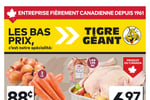 Circulaire Tigre Géant