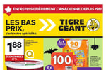 Circulaire Tigre Géant
