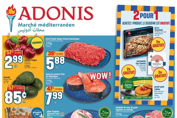 Circulaire Adonis Circulaire Adonis