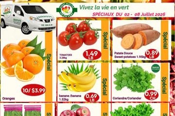 Circulaire Marché Vie en Vert Circulaire Marché Vie en Vert