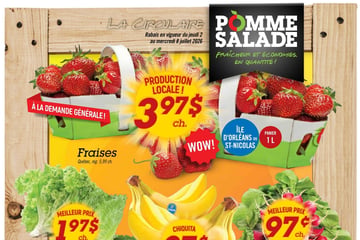Circulaire Pomme Salade