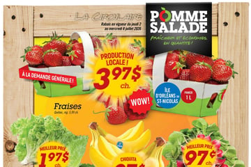 Circulaire Pomme Salade Circulaire Pomme Salade