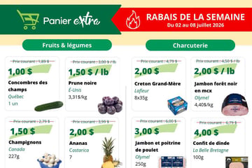 Circulaire Panier Extra Circulaire Panier Extra