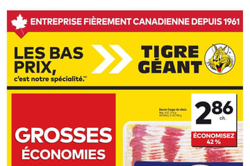Circulaire Tigre Géant Circulaire Tigre Géant