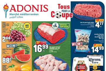 Circulaire Adonis