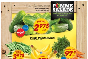 Circulaire Pomme Salade Circulaire Pomme Salade