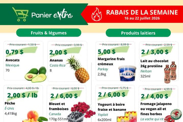 Circulaire Panier Extra