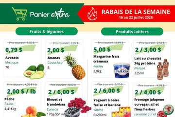 Circulaire Panier Extra Circulaire Panier Extra