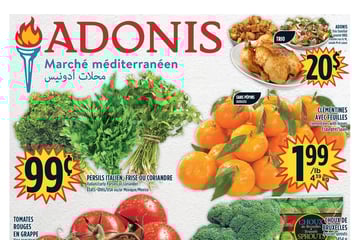 Circulaire Adonis