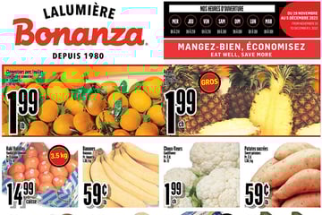 Circulaire Bonanza