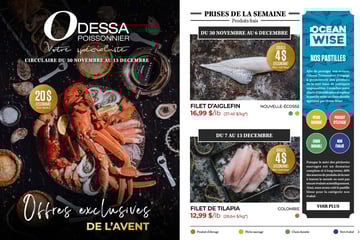 Circulaire Odessa Poissonnier