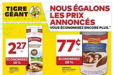 Circulaire Tigre Géant