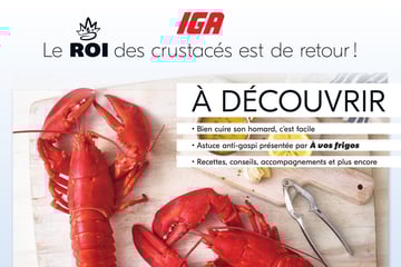 Circulaire IGA - Homard