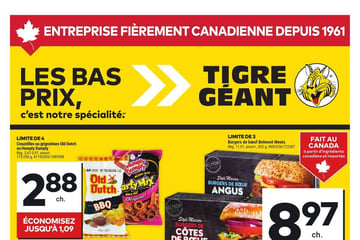 Circulaire Tigre Géant