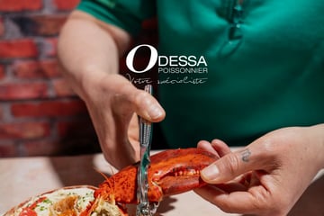 Circulaire Odessa Poissonnier