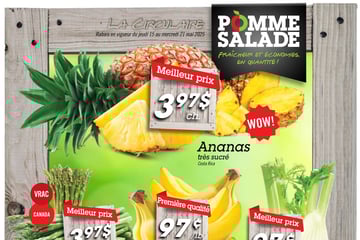Circulaire Pomme Salade