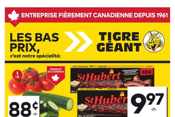 Circulaire Tigre Géant