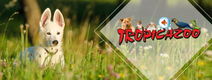 Tropicazoo Tropicazoo