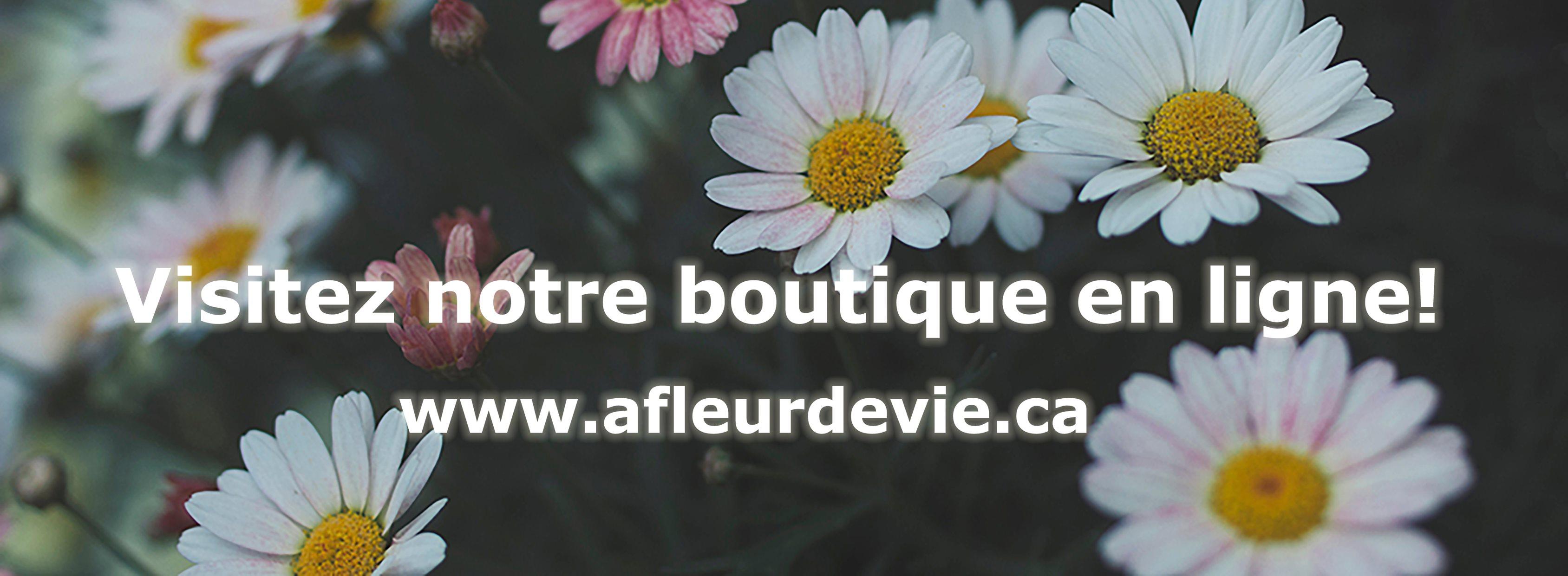 A Fleur de Vie A Fleur de Vie