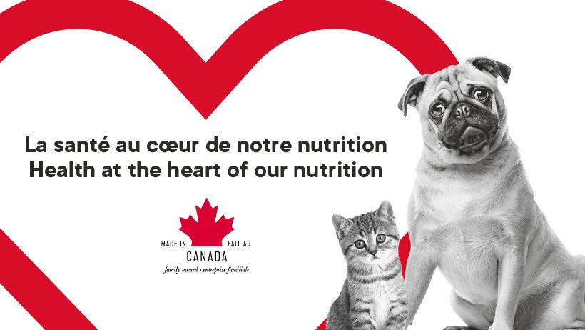1st Choice Canada