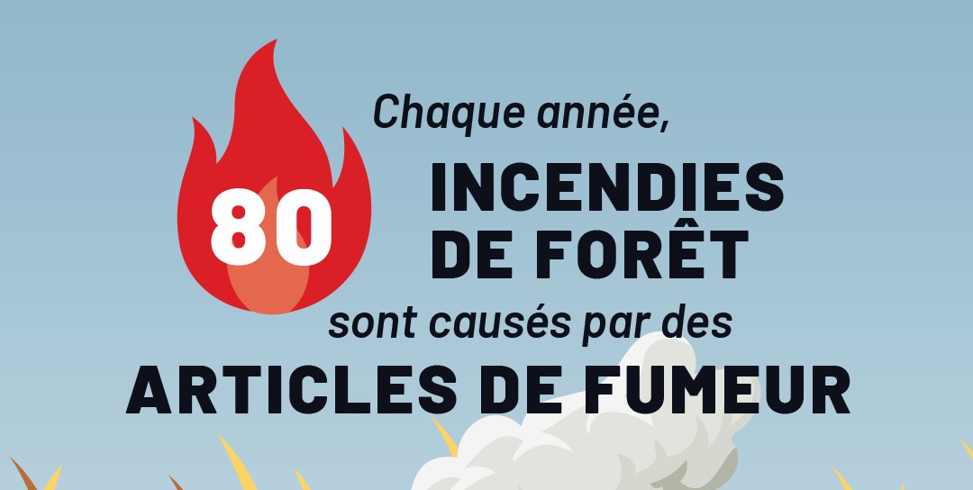 Chaque Année 80 incendies de Forêt sont causés par des Articles de Fumeur