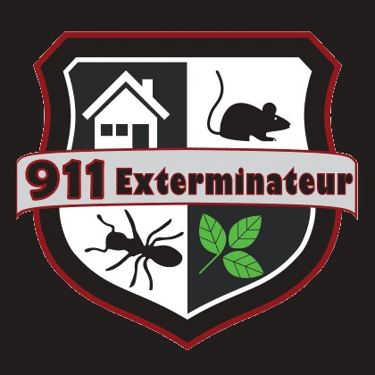 Logo 911 Exterminateur