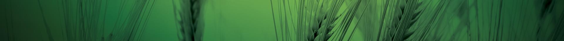 Agrizone - Votre spécialiste en produits agricoles