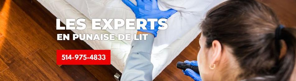 Alerte Punaise Montréal - Spécialise Exterminateur Traitements Punaises