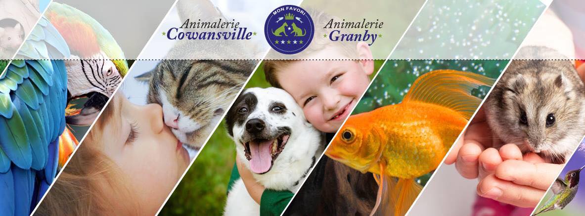 Animalerie de Granby - Service et Vente de Produits pour Animaux