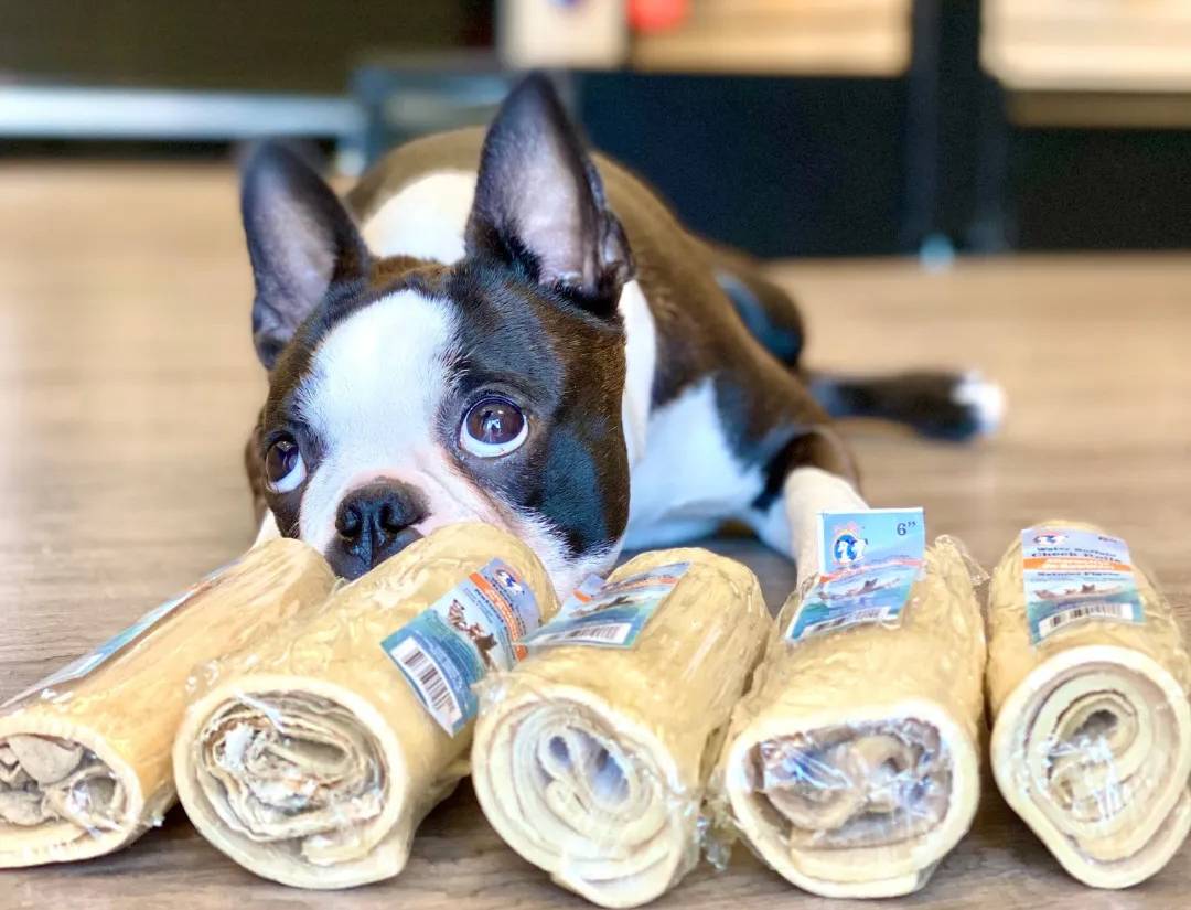 Animaluxe - Boutique en Ligne Gâterie pour Chien
