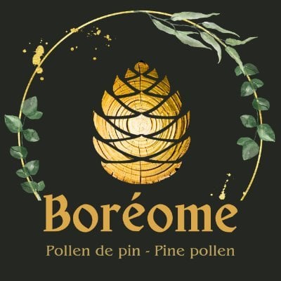 Logo Boréome