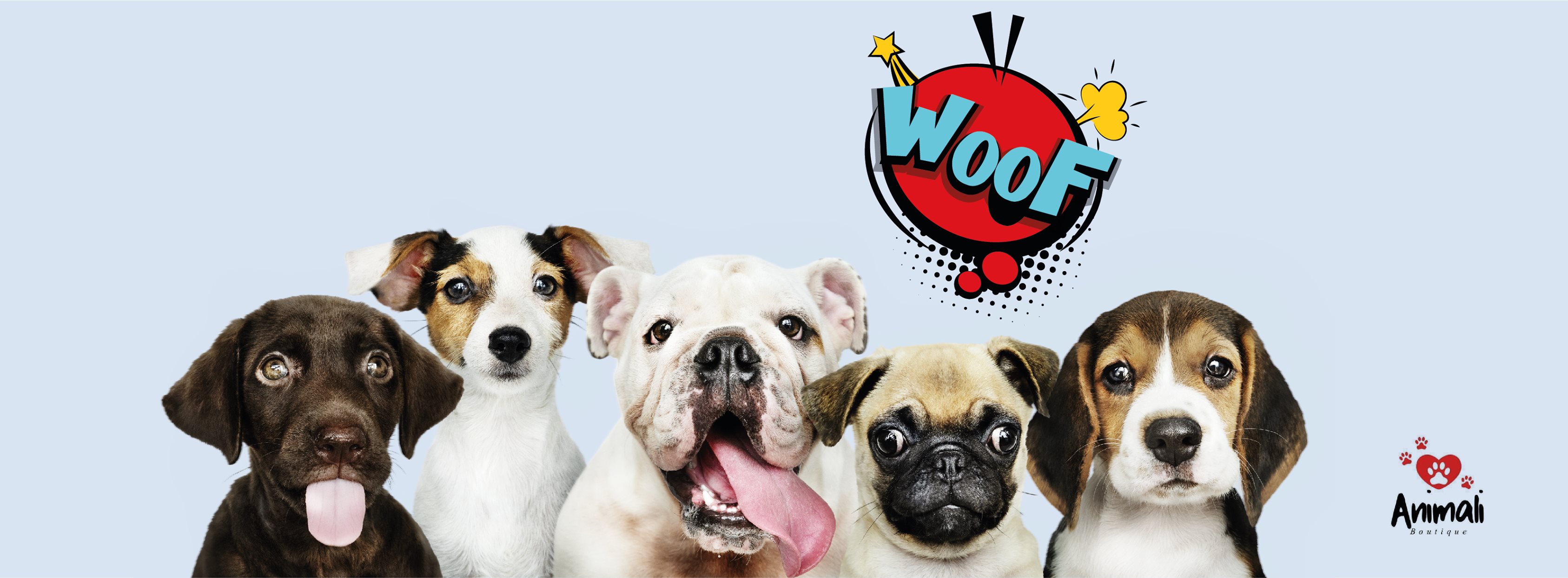 Boutique Animali - Animaleries