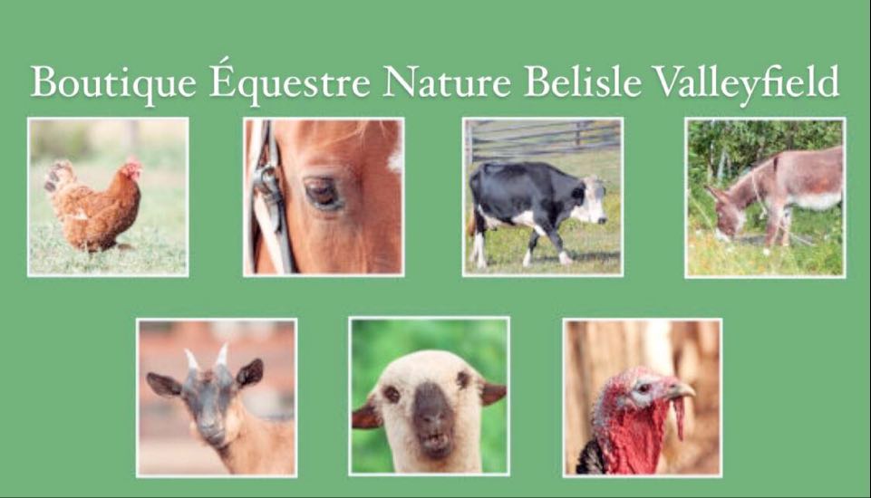 Boutique Equestre Nature Belisle Valleyfield - Produits Animaux