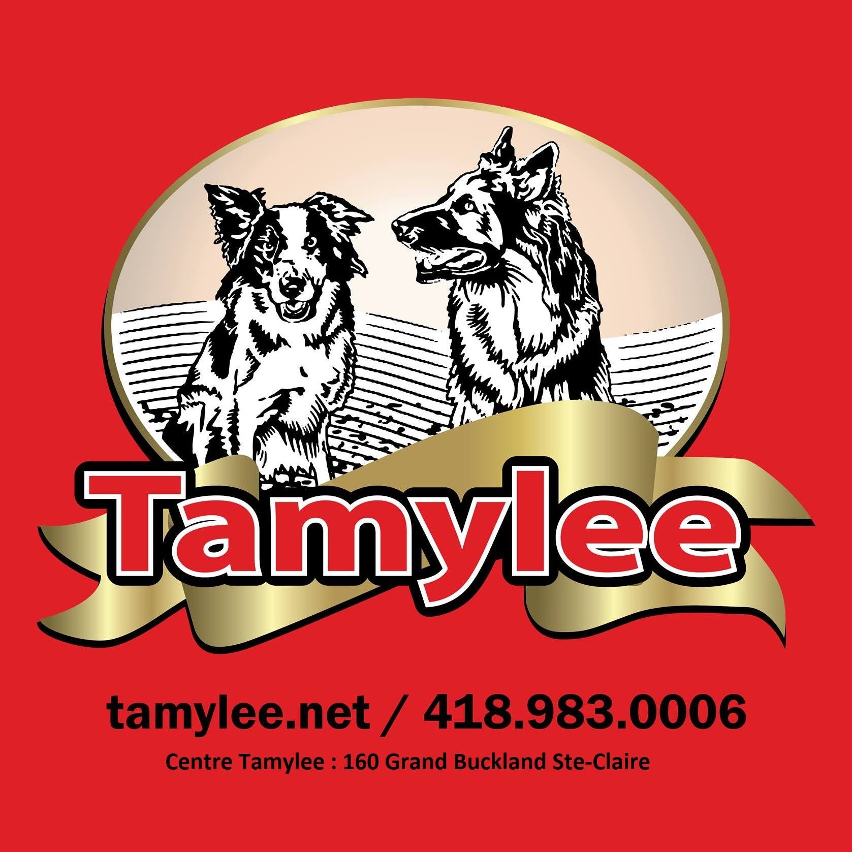 Logo Boutique Tamylee