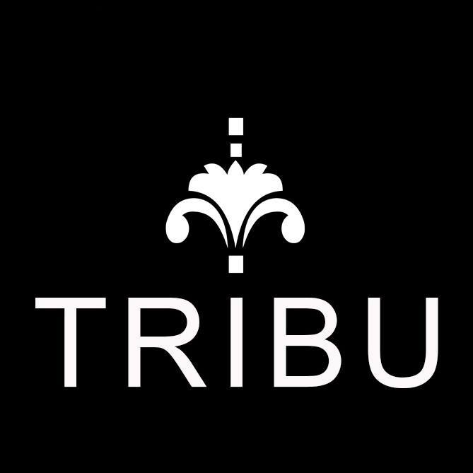Logo Boutique Tribu