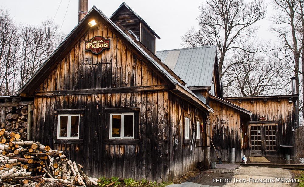 Cabane du PicBois - Érablière