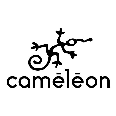 Logo Caméléon Designer