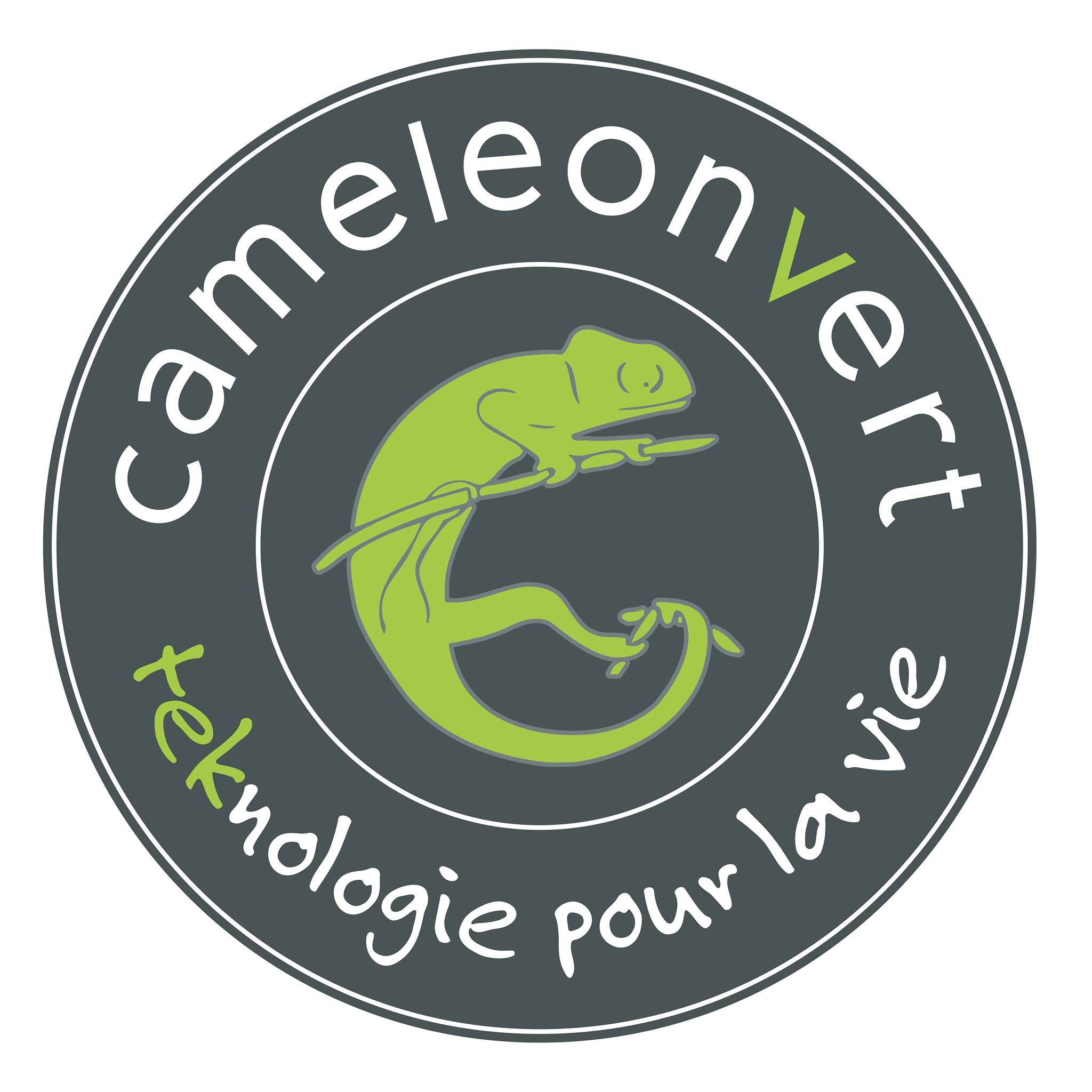 Logo Caméléon Vert