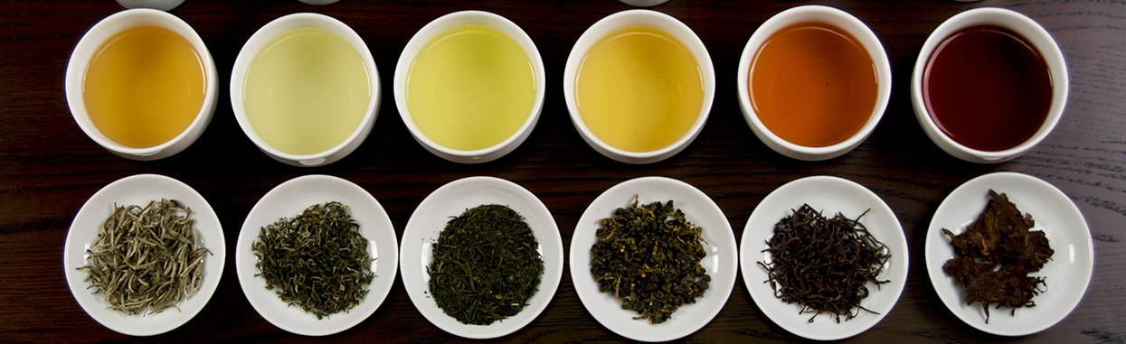 Camellia Sinensis - thés de Qualité