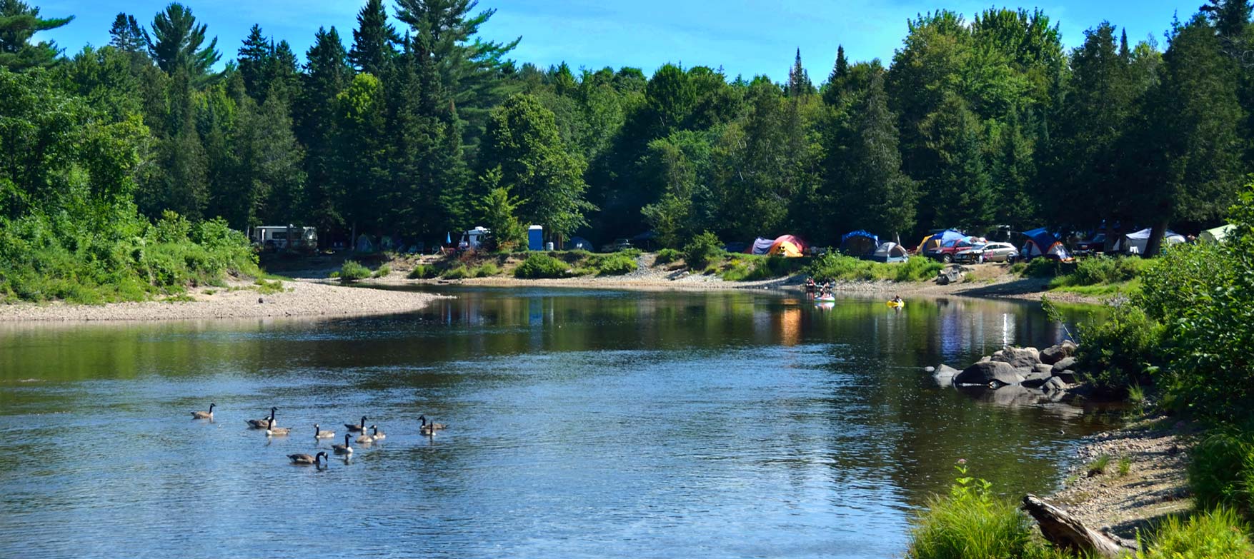 Camping Shamrock - Nature Plein Air