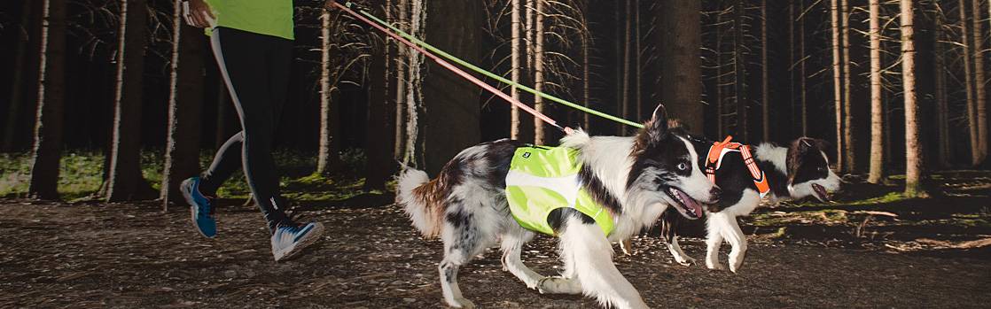 Canada K9 - Nourritures et Accessoires pour Chiens