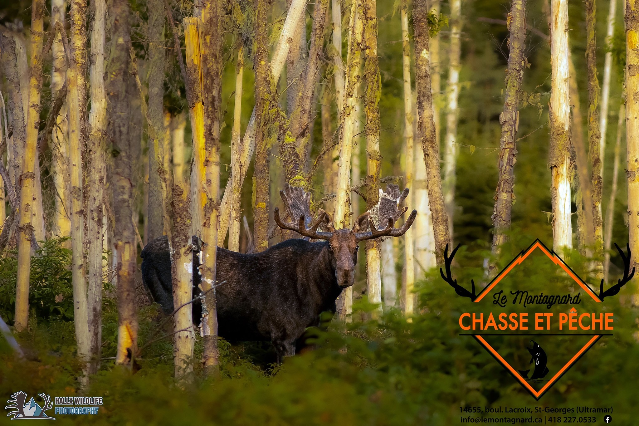Chasse et Pêche Le Montagnard - Activités de Plein Air