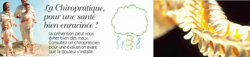 Clinique Chiropratique Arbre de Vie