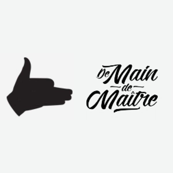 Logo De Main De Maître