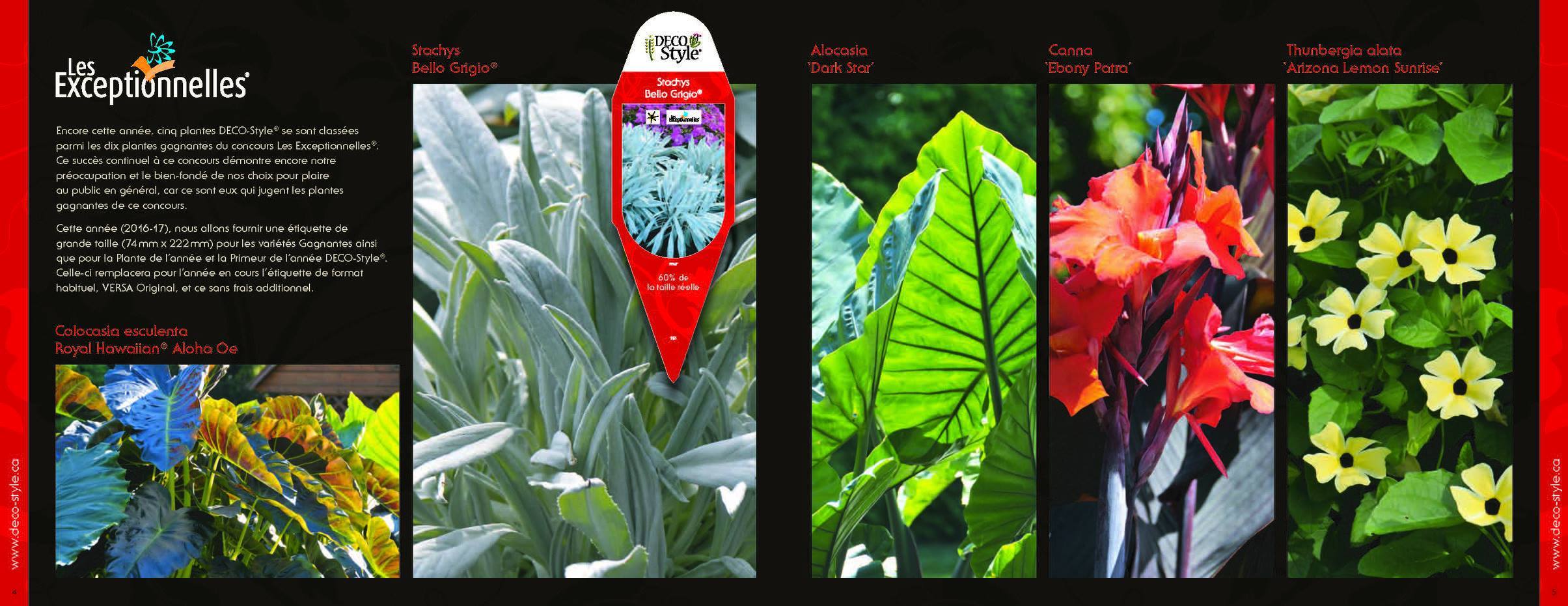 DECO-Style - Horticulture et Jardinage